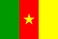Nasjonalflagg, Kamerun