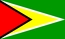 Nasjonalflagg, Guyana