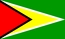 Nasjonalflagg, Guyana