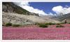 Trekking in Nepal, Peak climbing , Nepaltours